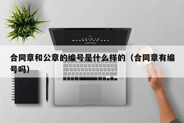 合同章和公章的编号是什么样的（合同章有编号吗）