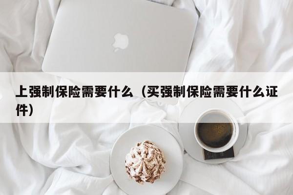 上强制保险需要什么（买强制保险需要什么证件）