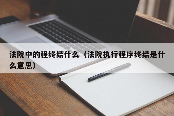 法院中的程终结什么（法院执行程序终结是什么意思）