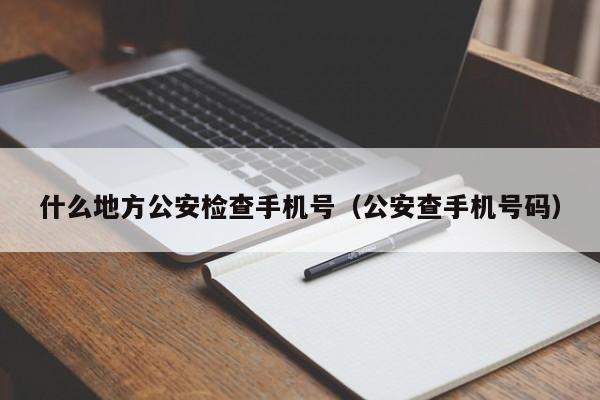 什么地方公安检查手机号（公安查手机号码）