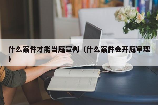 什么案件才能当庭宣判（什么案件会开庭审理）