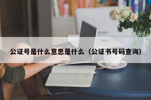 公证号是什么意思是什么（公证书号码查询）