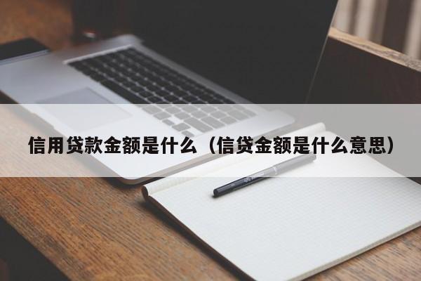 信用贷款金额是什么（信贷金额是什么意思）