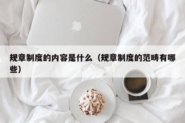 规章制度的内容是什么（规章制度的范畴有哪些）