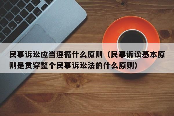 民事诉讼应当遵循什么原则（民事诉讼基本原则是贯穿整个民事诉讼法的什么原则）