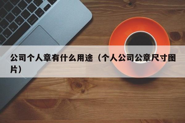 公司个人章有什么用途（个人公司公章尺寸图片）