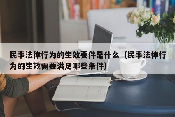 民事法律行为的生效要件是什么（民事法律行为的生效需要满足哪些条件）