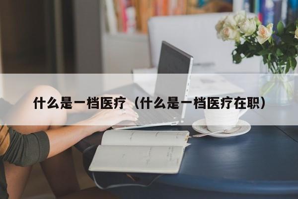 什么是一档医疗（什么是一档医疗在职）