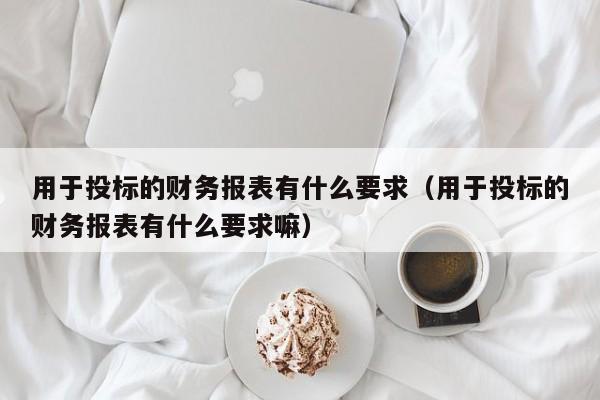 用于投标的财务报表有什么要求（用于投标的财务报表有什么要求嘛）