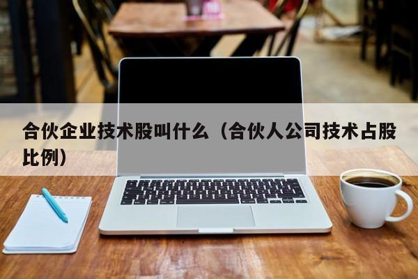 合伙企业技术股叫什么（合伙人公司技术占股比例）