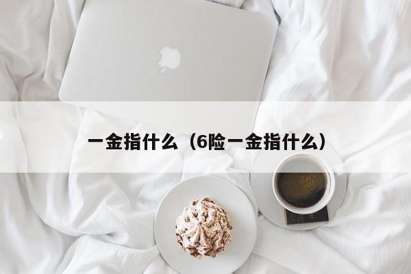 一金指什么（6险一金指什么）