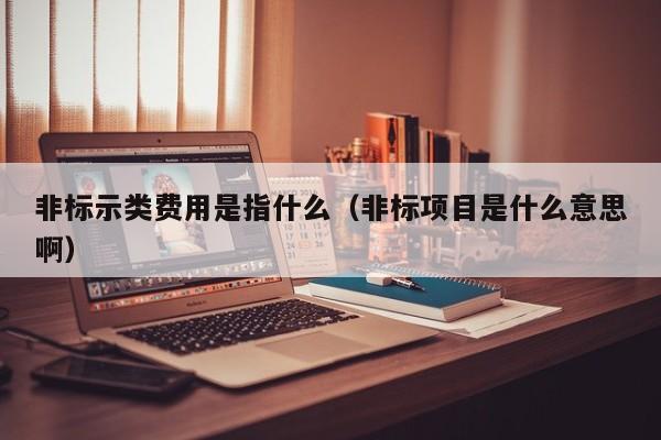 非标示类费用是指什么（非标项目是什么意思啊）