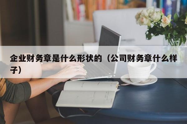 企业财务章是什么形状的（公司财务章什么样子）