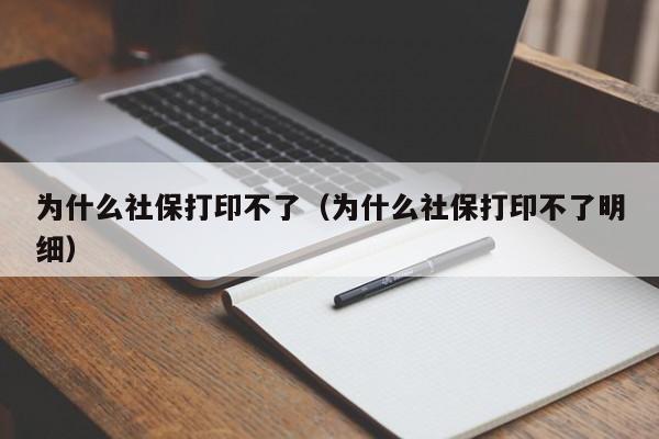 为什么社保打印不了（为什么社保打印不了明细）