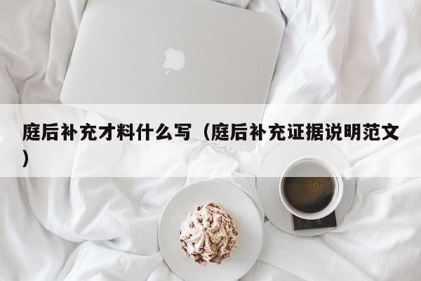 庭后补充才料什么写（庭后补充证据说明范文）