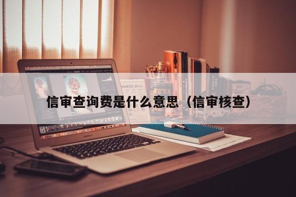 信审查询费是什么意思（信审核查）