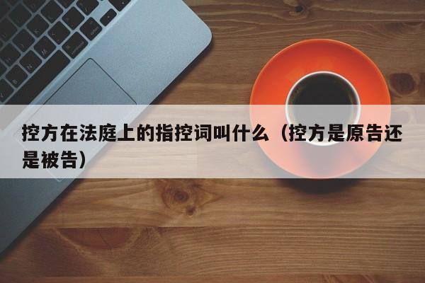 控方在法庭上的指控词叫什么（控方是原告还是被告）