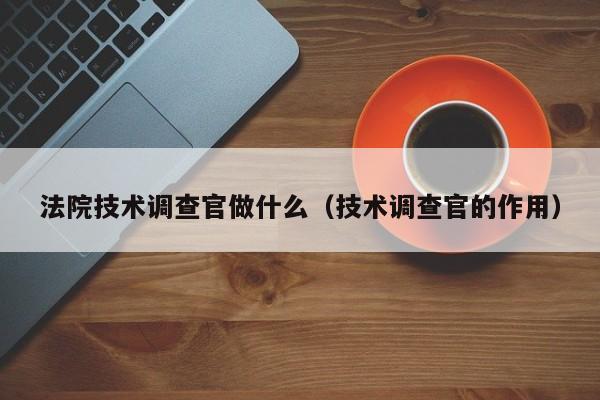 法院技术调查官做什么（技术调查官的作用）