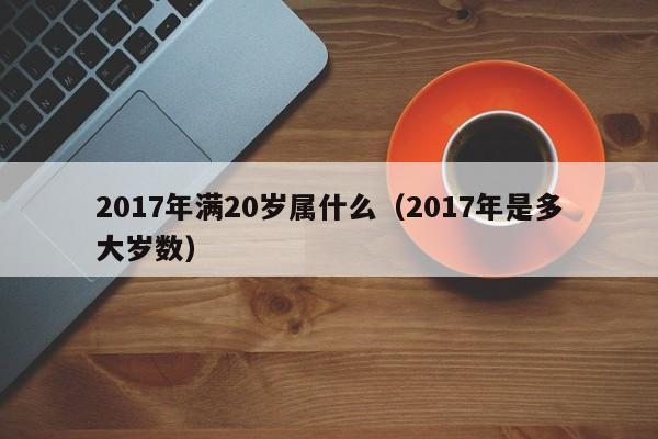 2017年满20岁属什么（2017年是多大岁数）