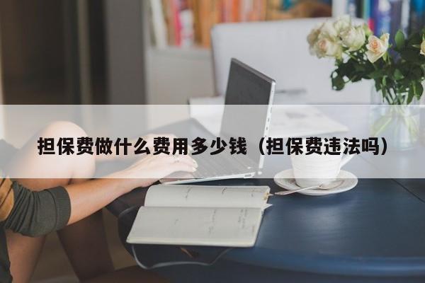 担保费做什么费用多少钱（担保费违法吗）