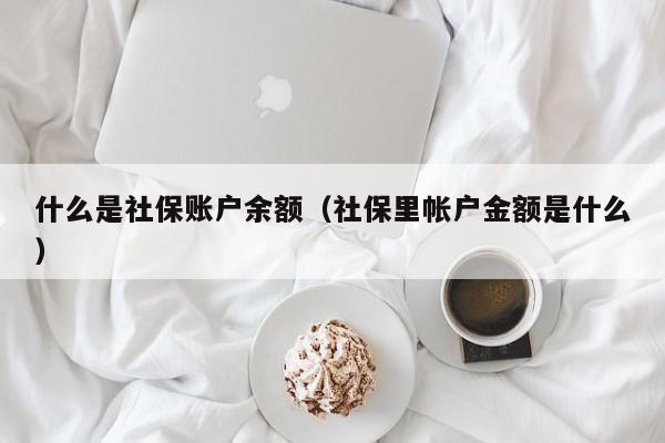 什么是社保账户余额（社保里帐户金额是什么）