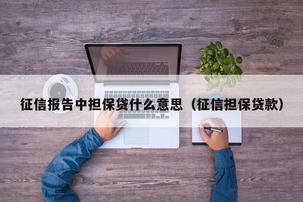 征信报告中担保贷什么意思（征信担保贷款）