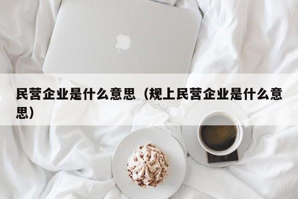 民营企业是什么意思（规上民营企业是什么意思）