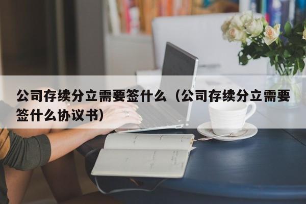 公司存续分立需要签什么（公司存续分立需要签什么协议书）