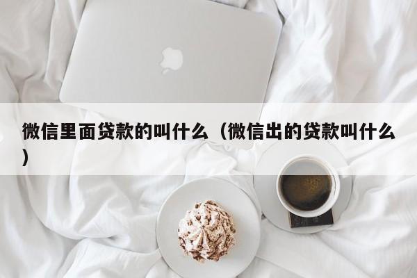 微信里面贷款的叫什么（微信出的贷款叫什么）