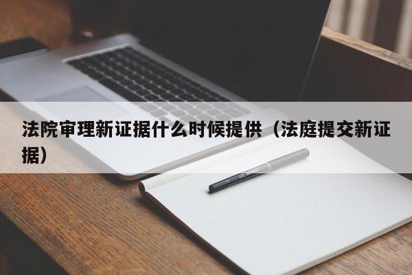 法院审理新证据什么时候提供（法庭提交新证据）