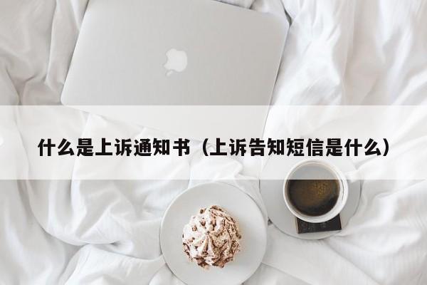 什么是上诉通知书（上诉告知短信是什么）