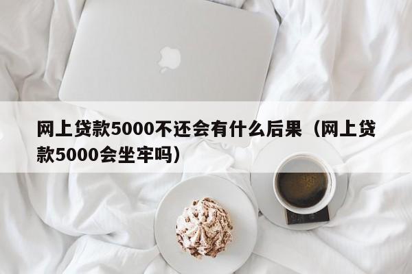 网上贷款5000不还会有什么后果（网上贷款5000会坐牢吗）