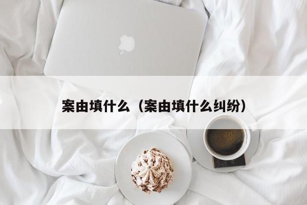 案由填什么（案由填什么纠纷）