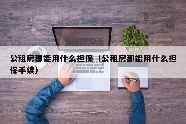 公租房都能用什么担保（公租房都能用什么担保手续）