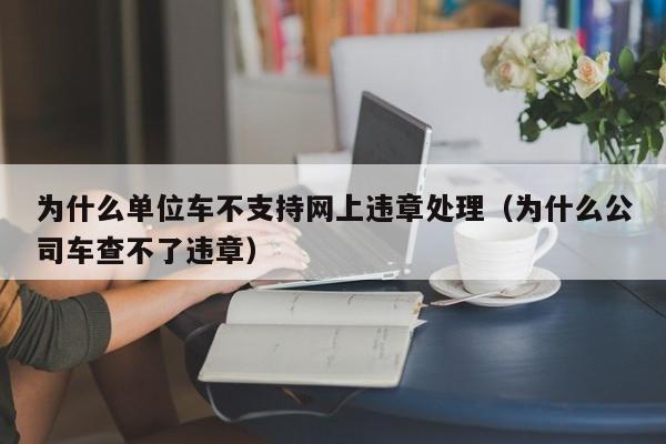 为什么单位车不支持网上违章处理（为什么公司车查不了违章）