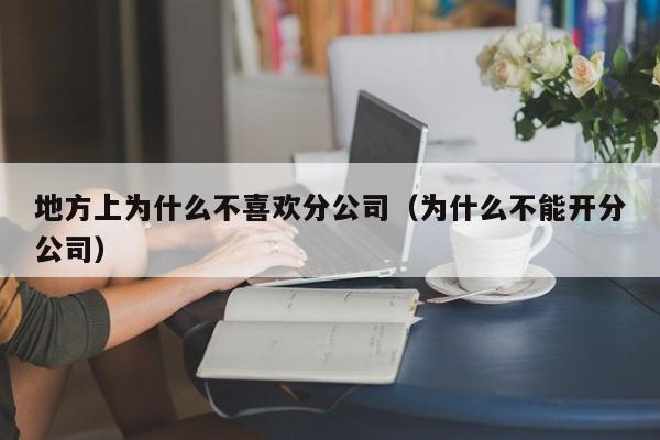 地方上为什么不喜欢分公司（为什么不能开分公司）