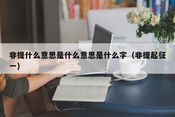 非提什么意思是什么意思是什么字（非提起征一）