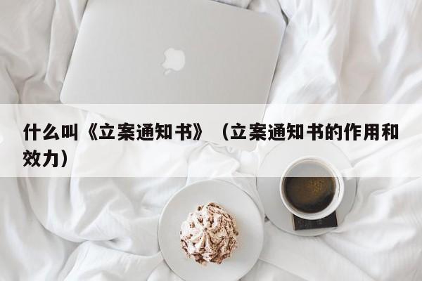 什么叫《立案通知书》（立案通知书的作用和效力）