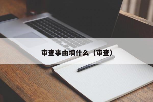 审查事由填什么（审查）