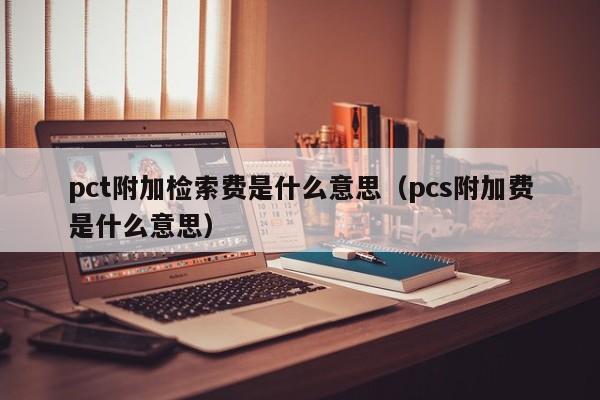 pct附加检索费是什么意思（pcs附加费是什么意思）