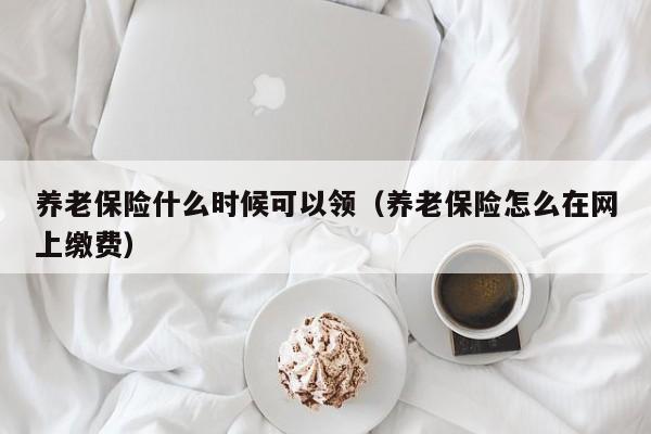 养老保险什么时候可以领（养老保险怎么在网上缴费）