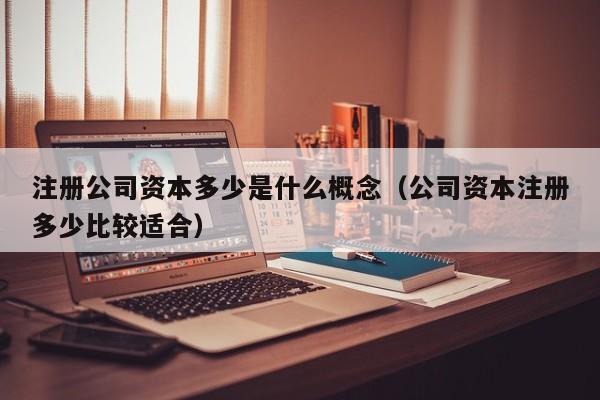 注册公司资本多少是什么概念（公司资本注册多少比较适合）