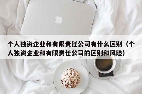 个人独资企业和有限责任公司有什么区别（个人独资企业和有限责任公司的区别和风险）