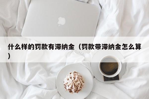 什么样的罚款有滞纳金（罚款带滞纳金怎么算）