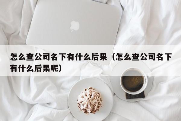 怎么查公司名下有什么后果（怎么查公司名下有什么后果呢）