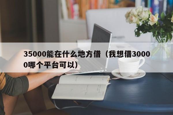 35000能在什么地方借（我想借30000哪个平台可以）