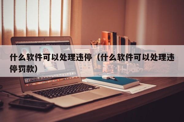 什么软件可以处理违停（什么软件可以处理违停罚款）