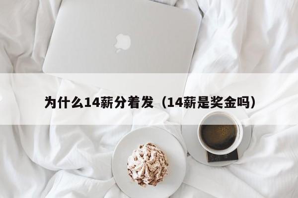 为什么14薪分着发（14薪是奖金吗）