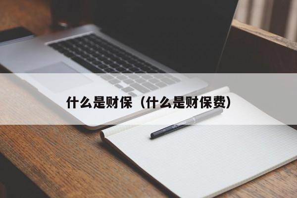 什么是财保（什么是财保费）