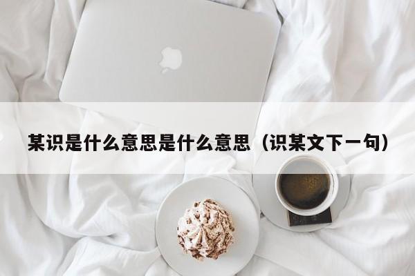 某识是什么意思是什么意思（识某文下一句）